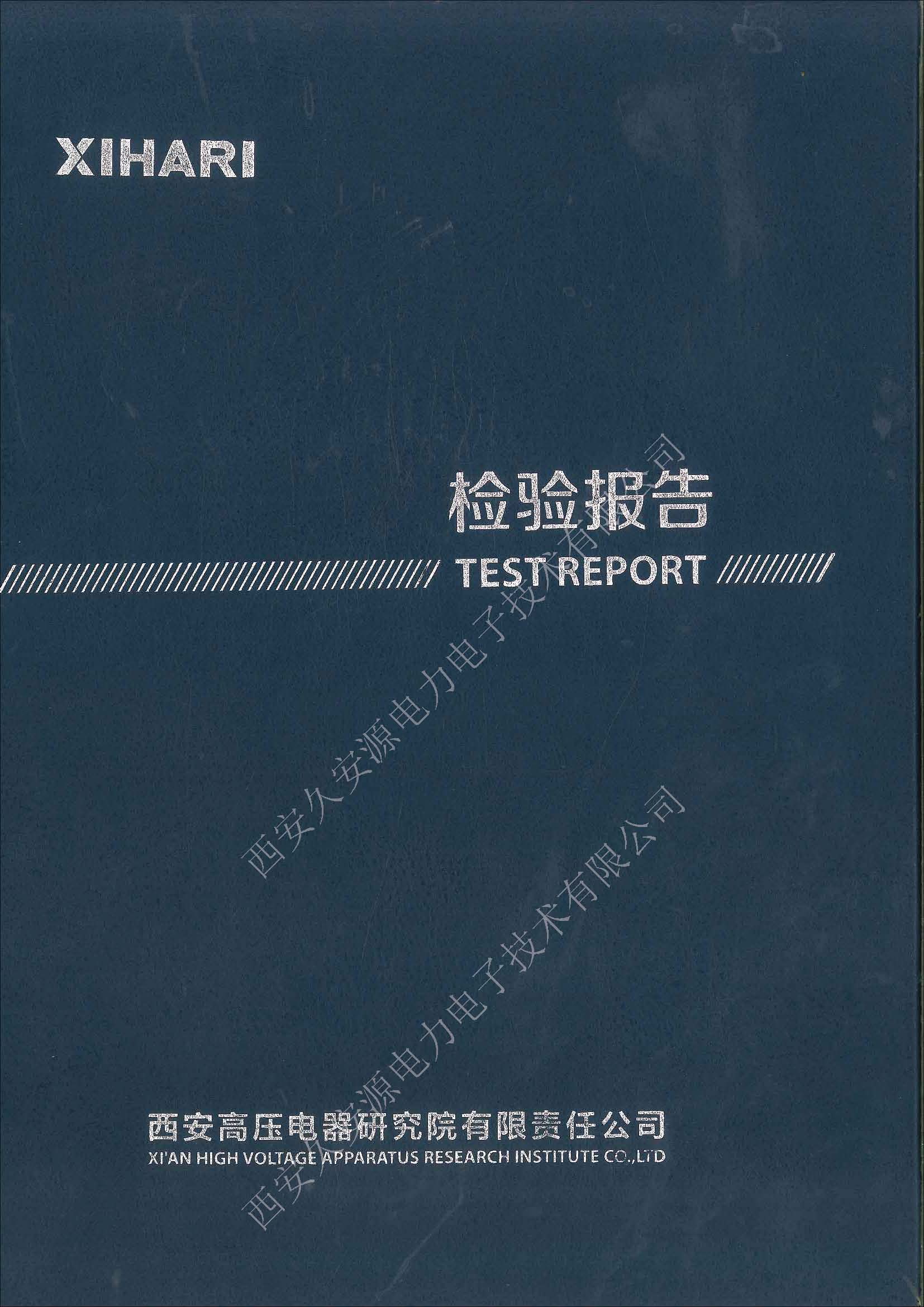 高压软起动装置检验报告